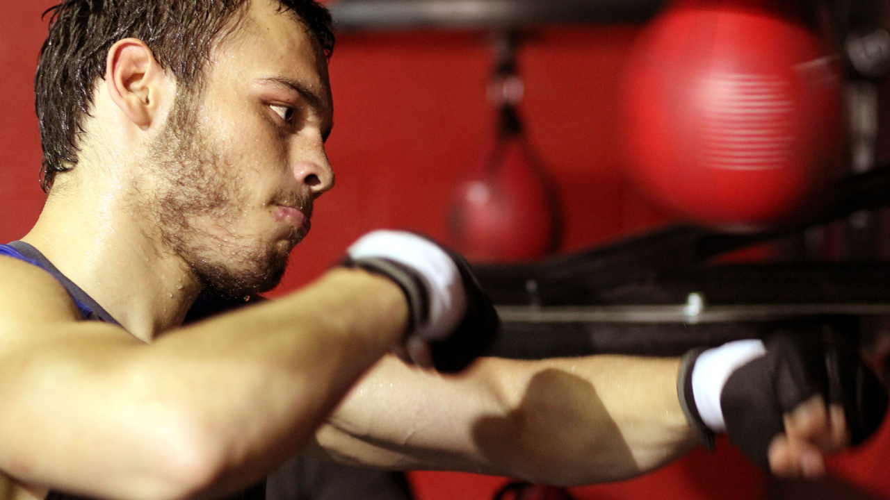 Обои бокс, средний вес, Всемирный боксерский Совет, профессиональный боксер, рука в разрешении 1280x720