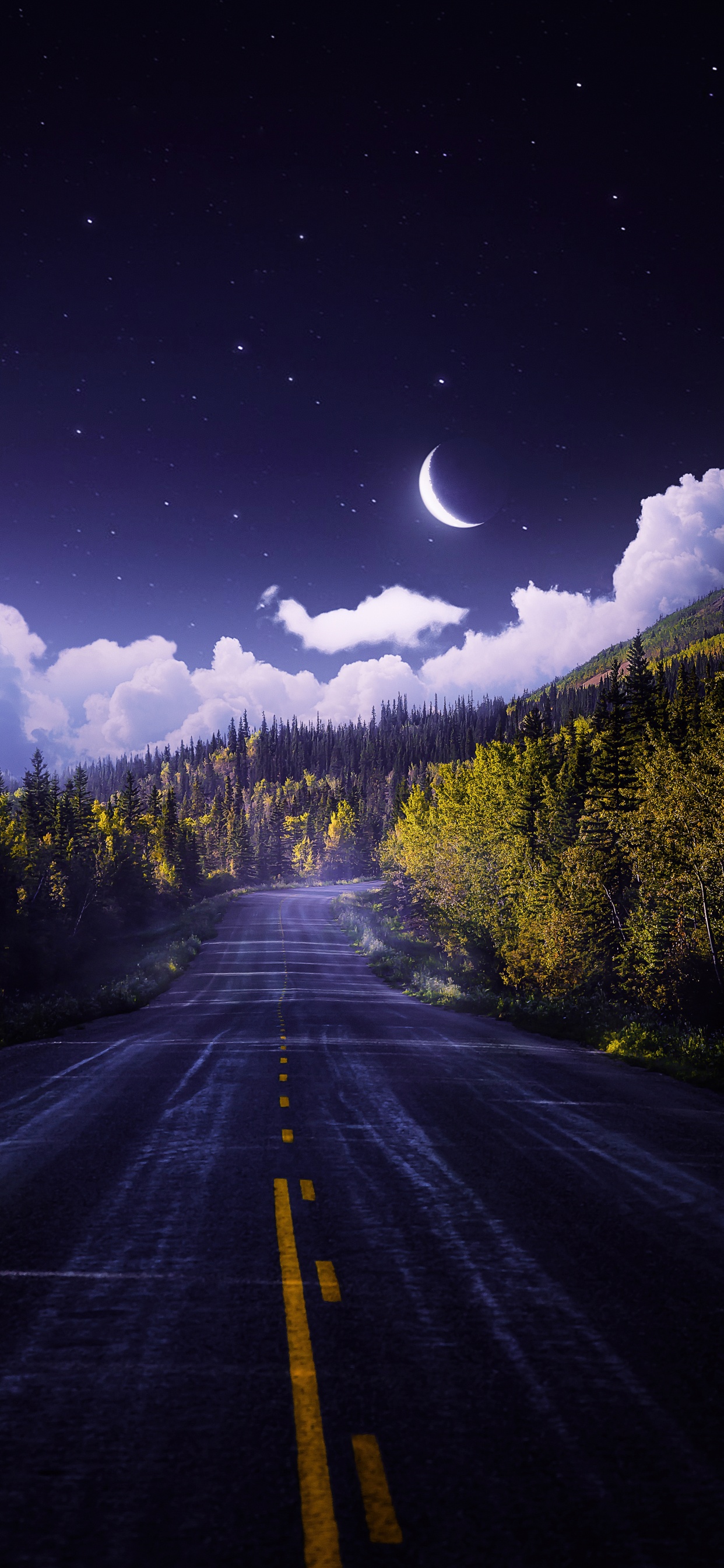 Обои облако, атмосфера, растение, экорегион, природа в разрешении 1242x2688