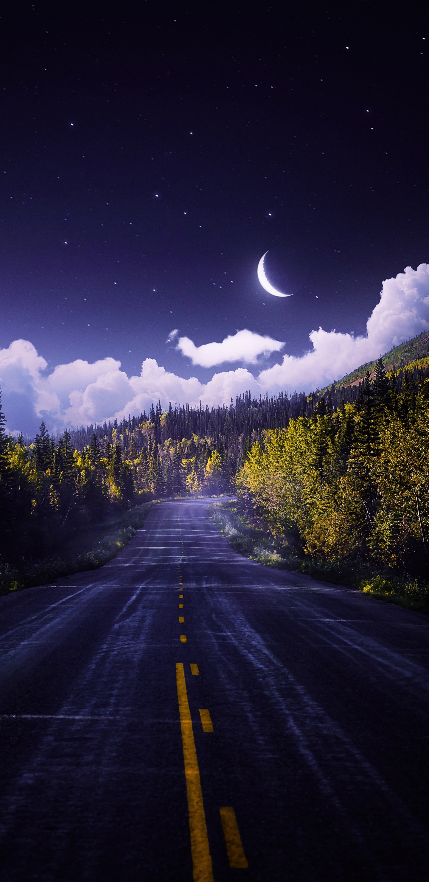 Обои облако, атмосфера, растение, экорегион, природа в разрешении 1440x2960