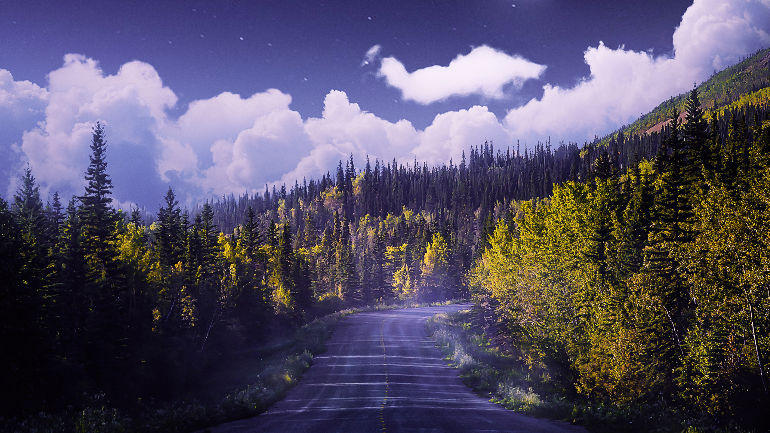 Обои облако, атмосфера, растение, экорегион, природа в разрешении 2560x1440