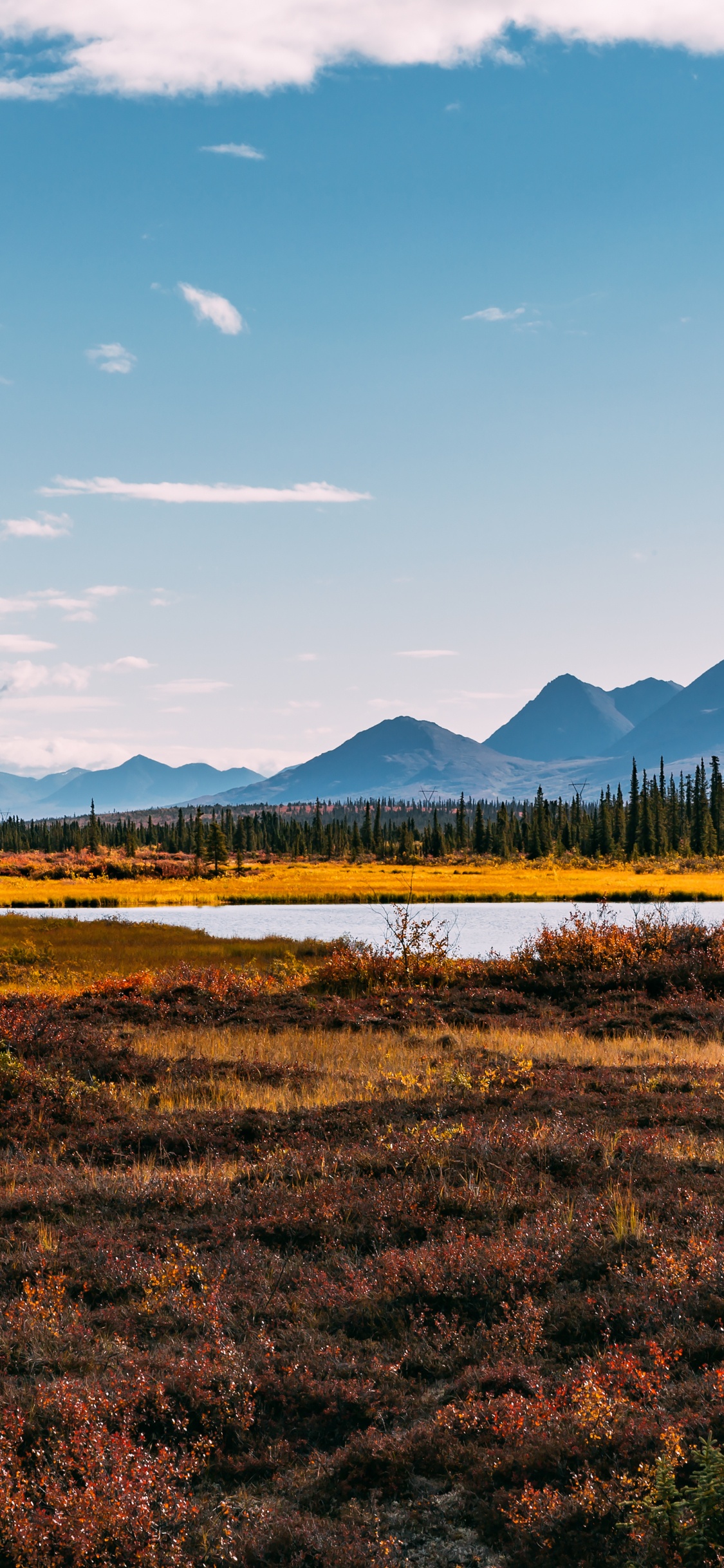 Обои облако, растение, гора, природный ландшафт, нагорье в разрешении 1125x2436