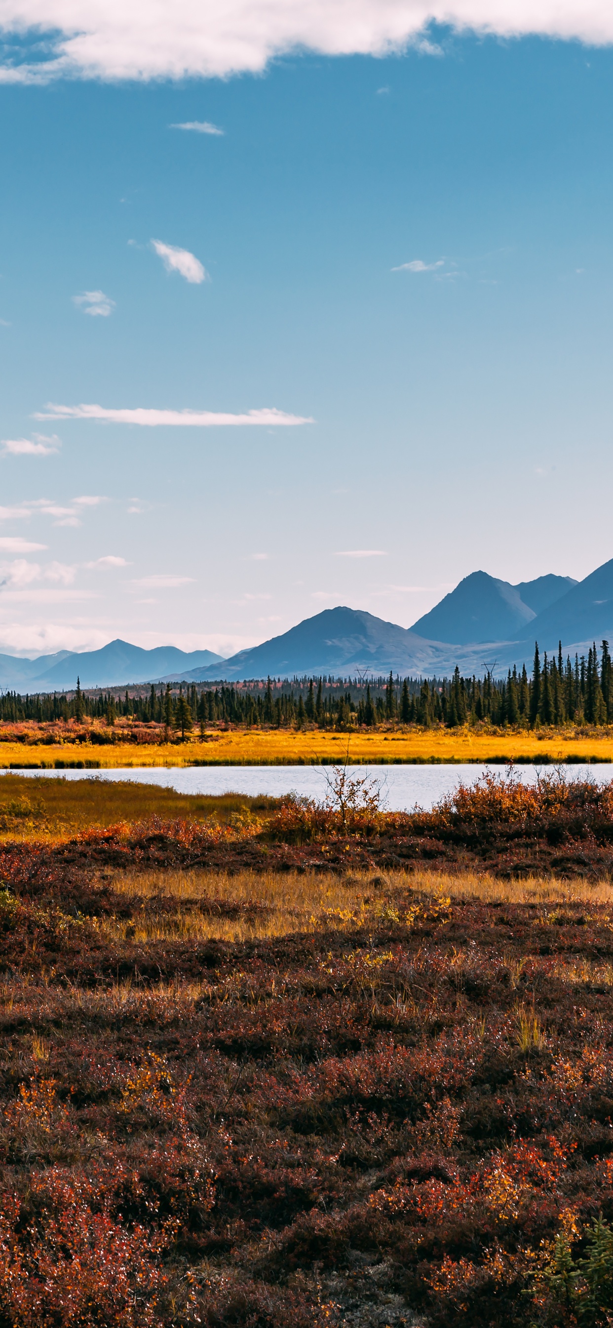 Обои облако, растение, гора, природный ландшафт, нагорье в разрешении 1242x2688