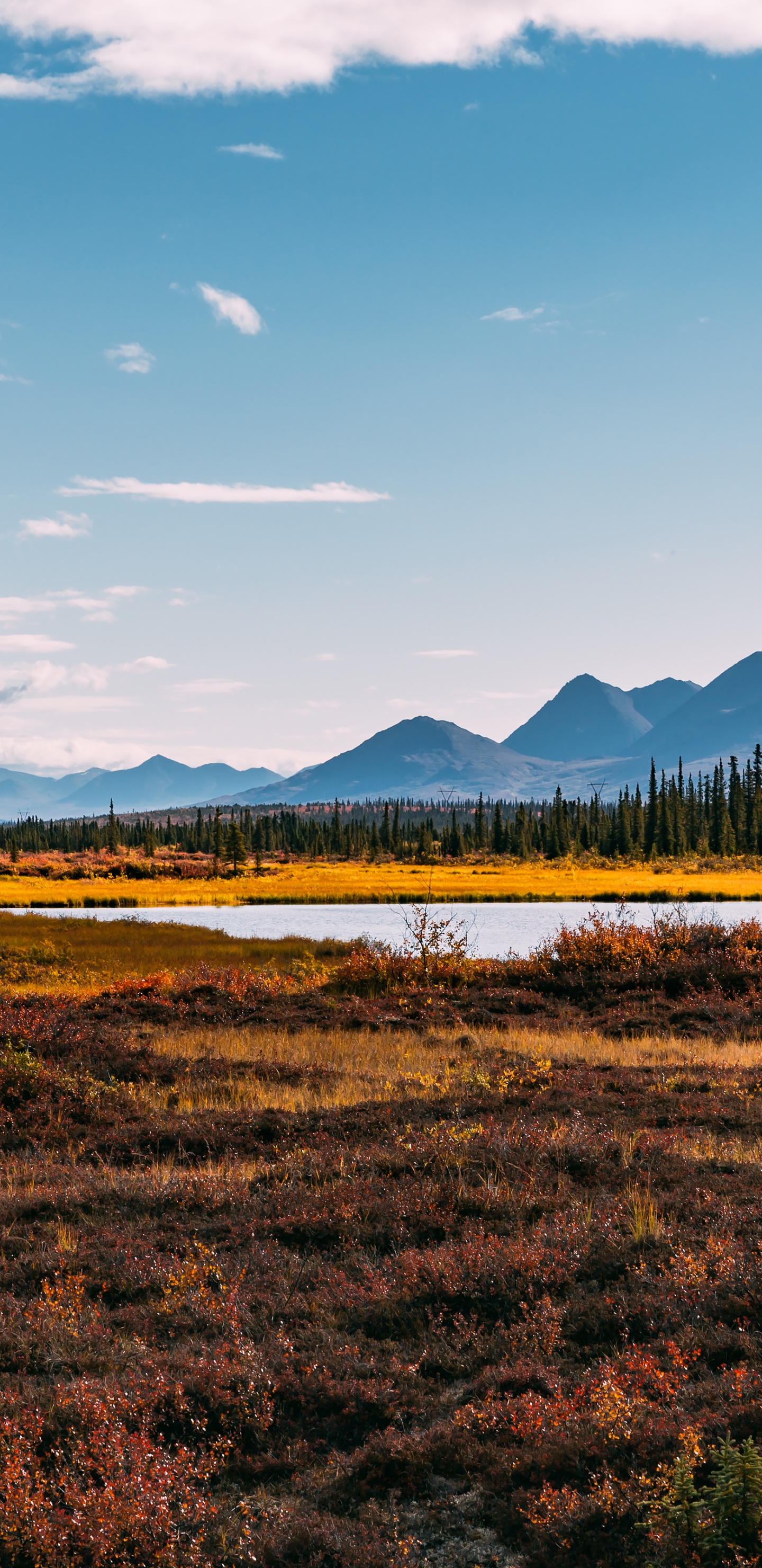 Обои облако, растение, гора, природный ландшафт, нагорье в разрешении 1440x2960