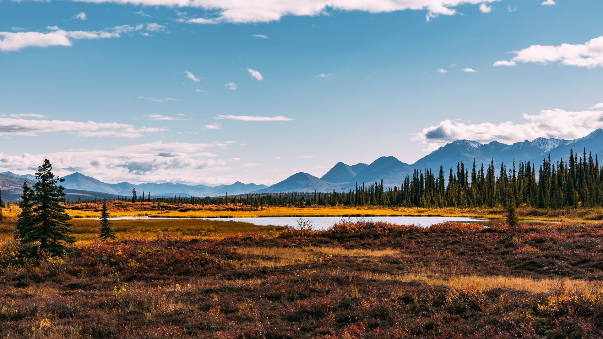 Обои облако, растение, гора, природный ландшафт, нагорье в разрешении 1920x1080
