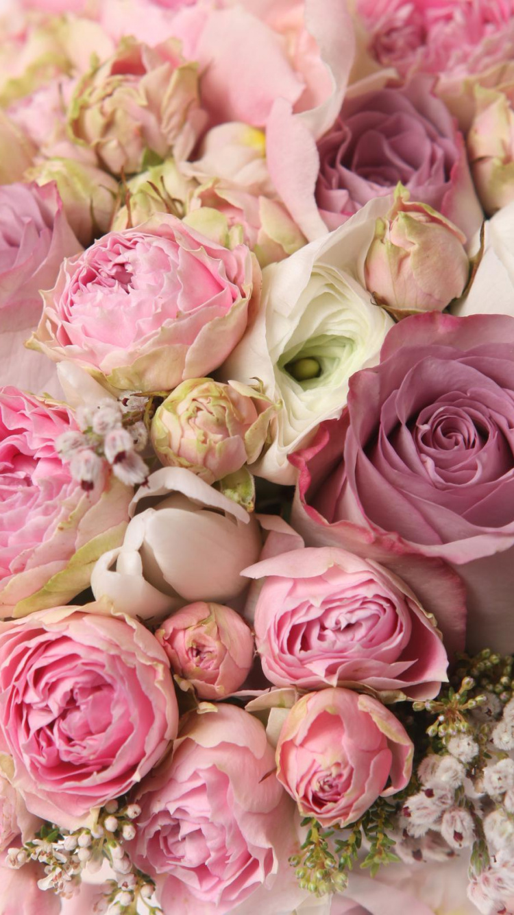 Обои цветок, розовый, цветочный букет, Роза, сад роз в разрешении 750x1334