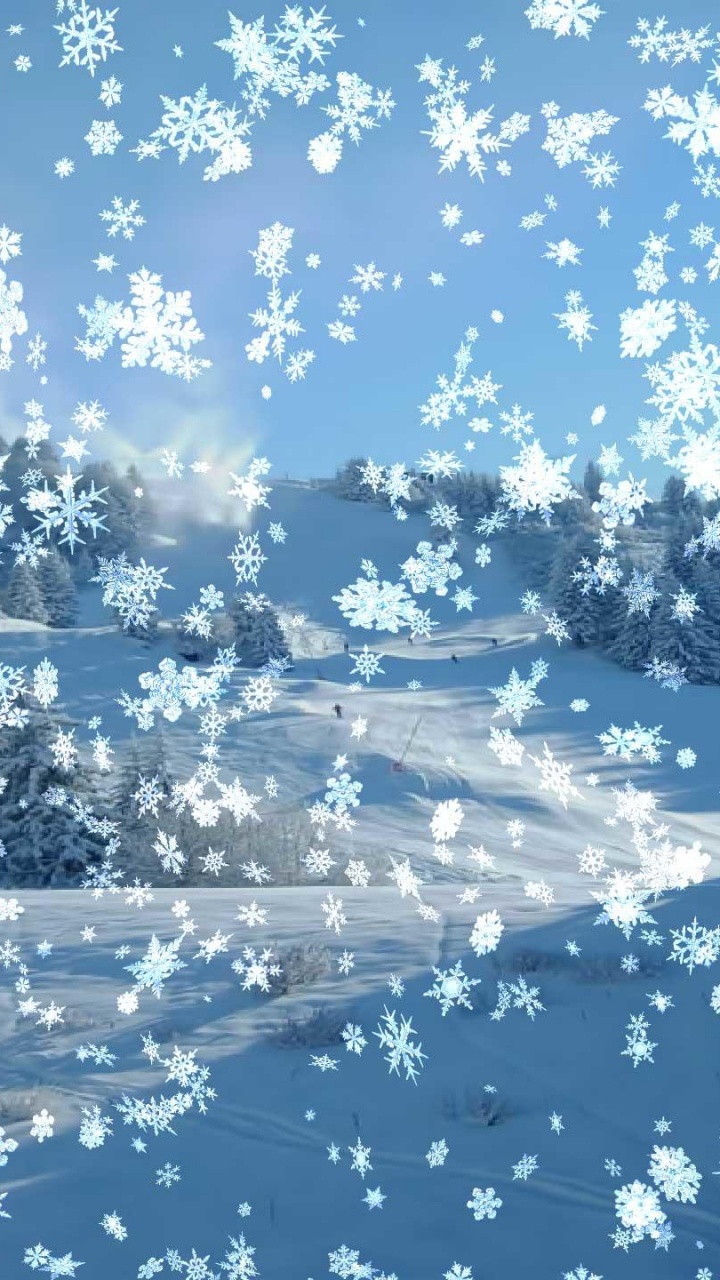 Обои снег, зима, дерево, мороз, Снежинка в разрешении 720x1280