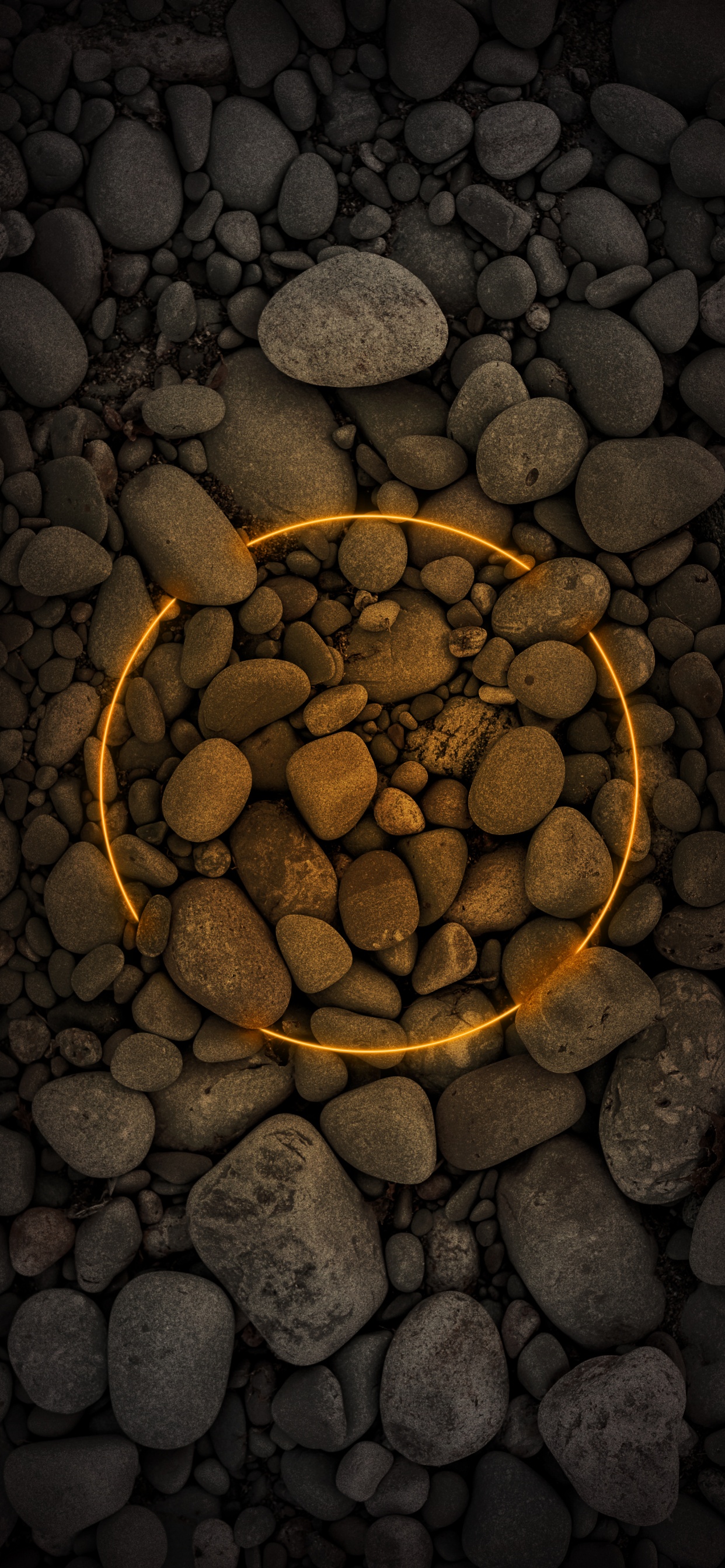 Обои ios, окружающая среда, водоем, солнечный свет, древесина в разрешении 1242x2688