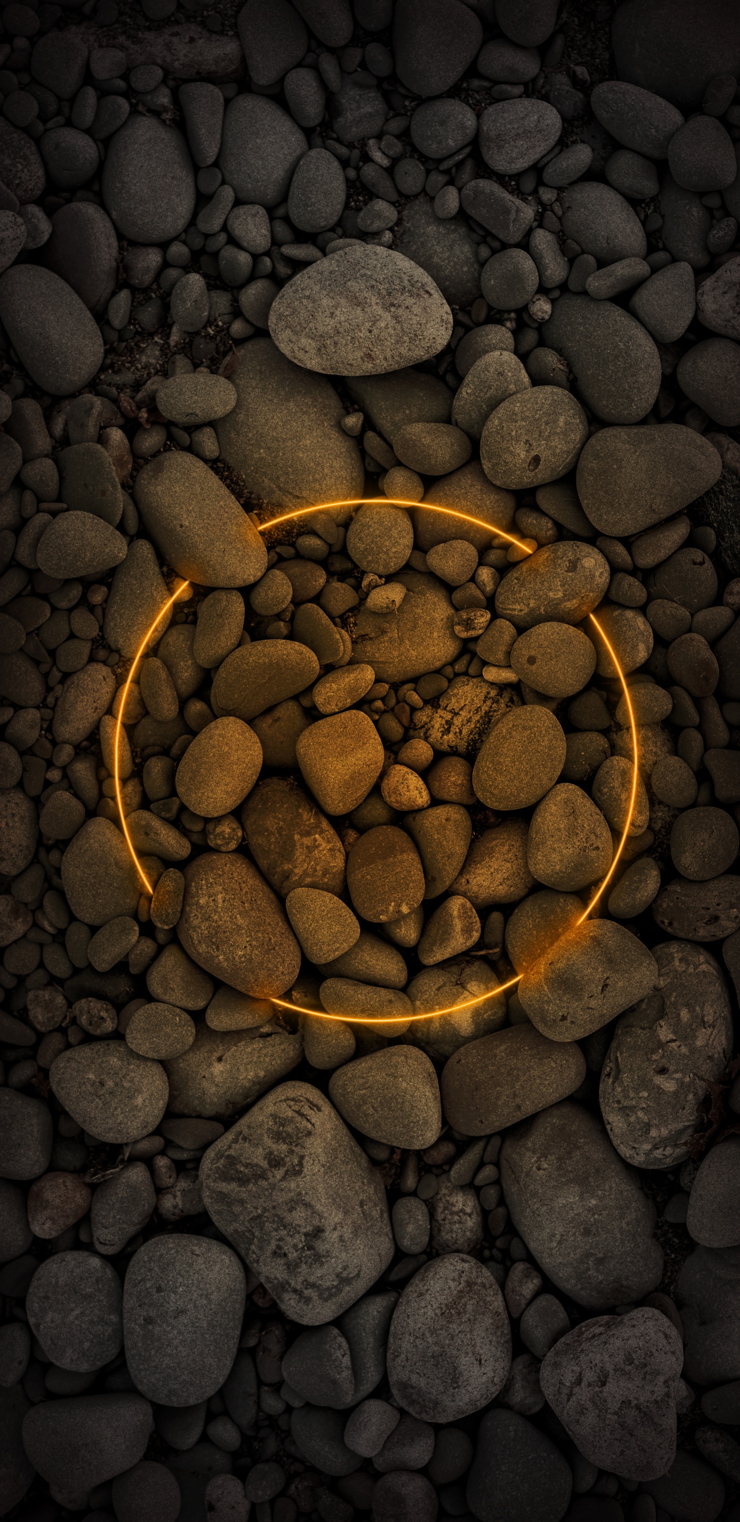 Обои ios, окружающая среда, водоем, солнечный свет, древесина в разрешении 1440x2960