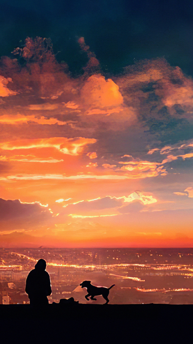 Обои послесвечение, облако, восход солнца, горизонт, закат в разрешении 750x1334