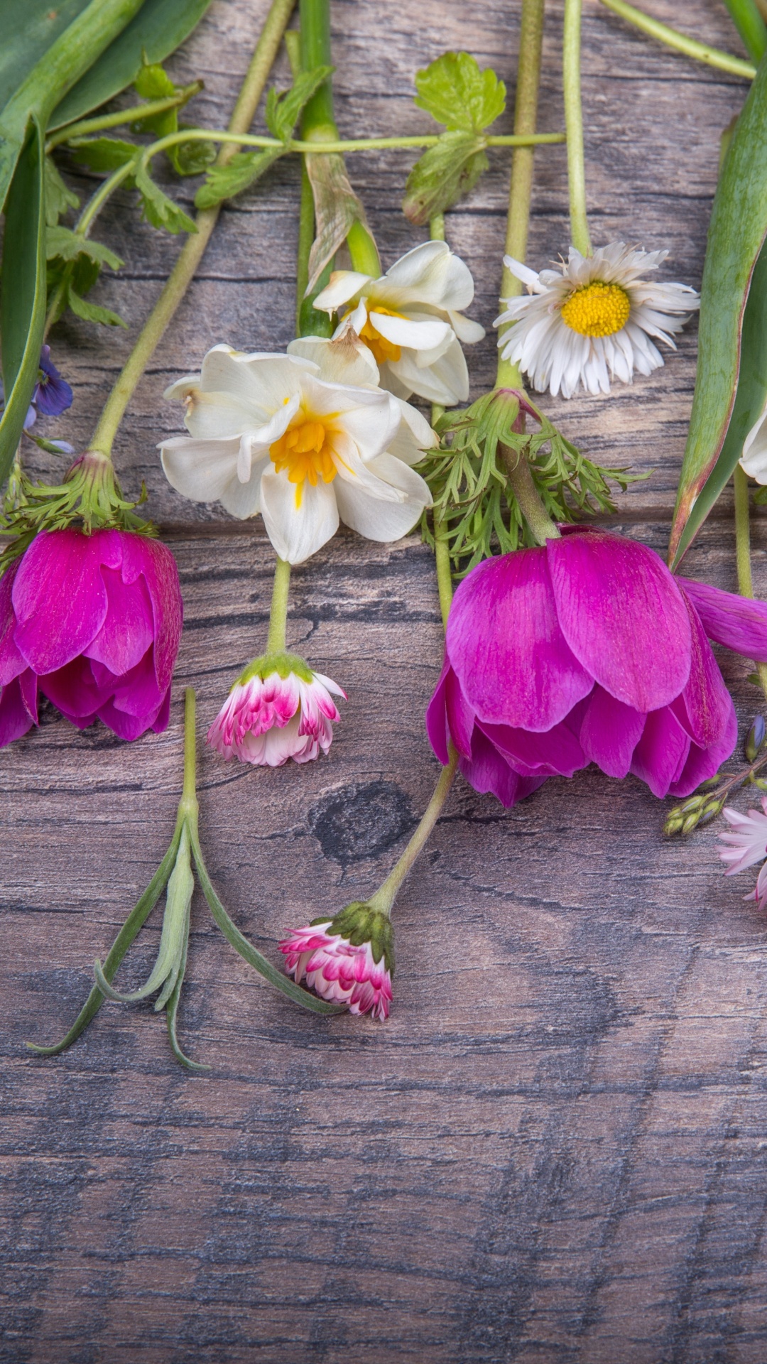 Обои Флора, цветочный дизайн, цветок, срезанные цветы, Фиолетовый в разрешении 1080x1920