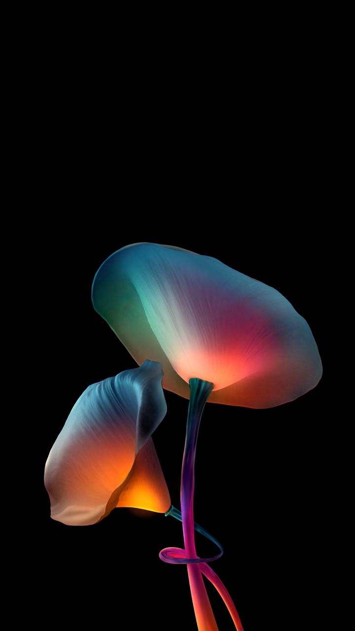 Обои амолед, цветок, арт, красочность, графика в разрешении 720x1280