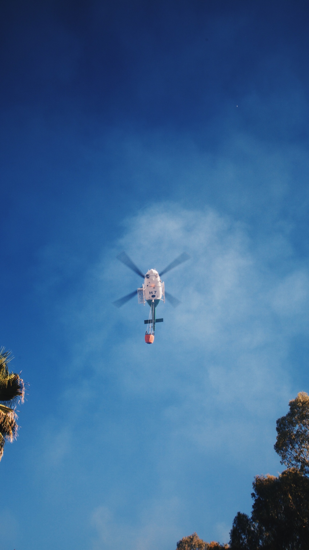 Обои дневное время, вертолет, винтокрыл, облако, дерево в разрешении 1080x1920