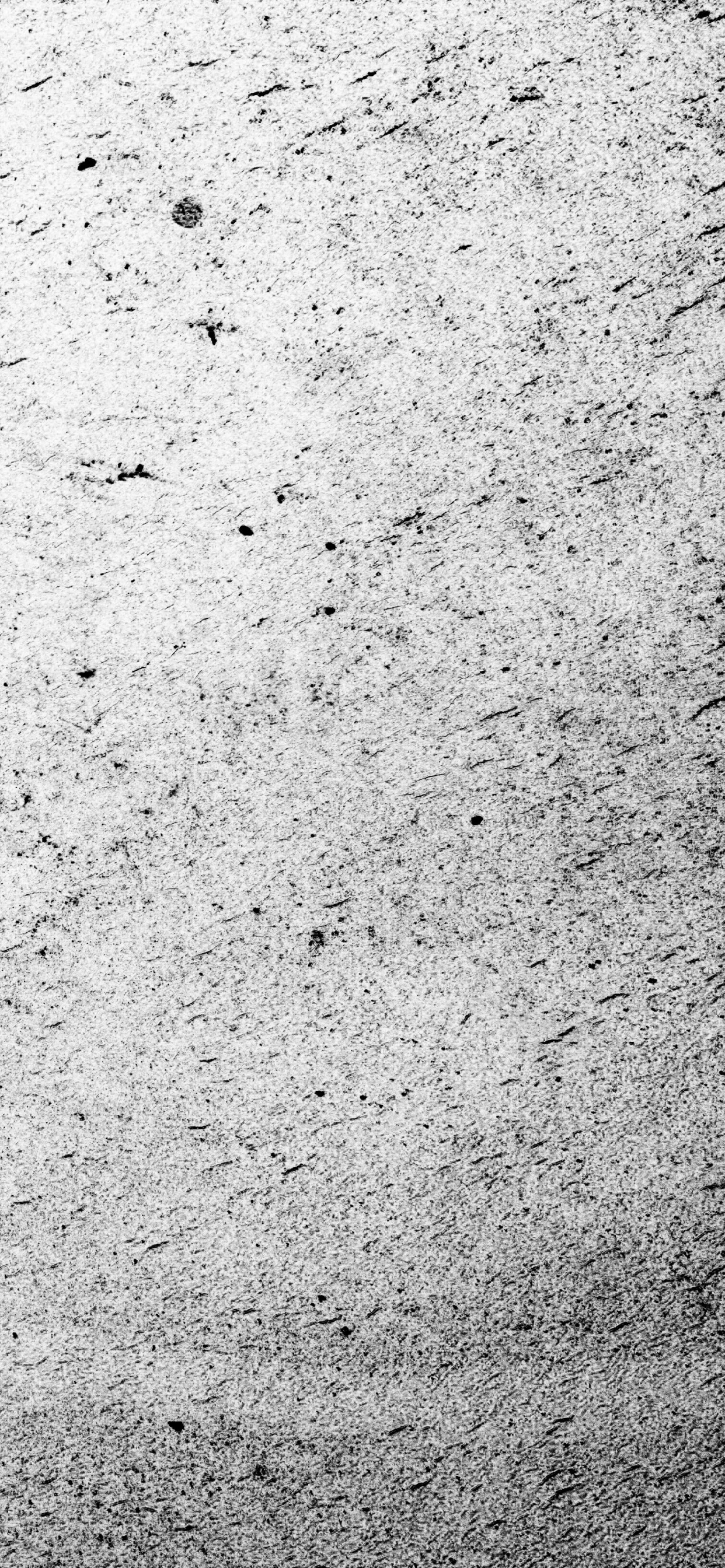 Обои белые, монохромный, узор, черный, небо в разрешении 1242x2688