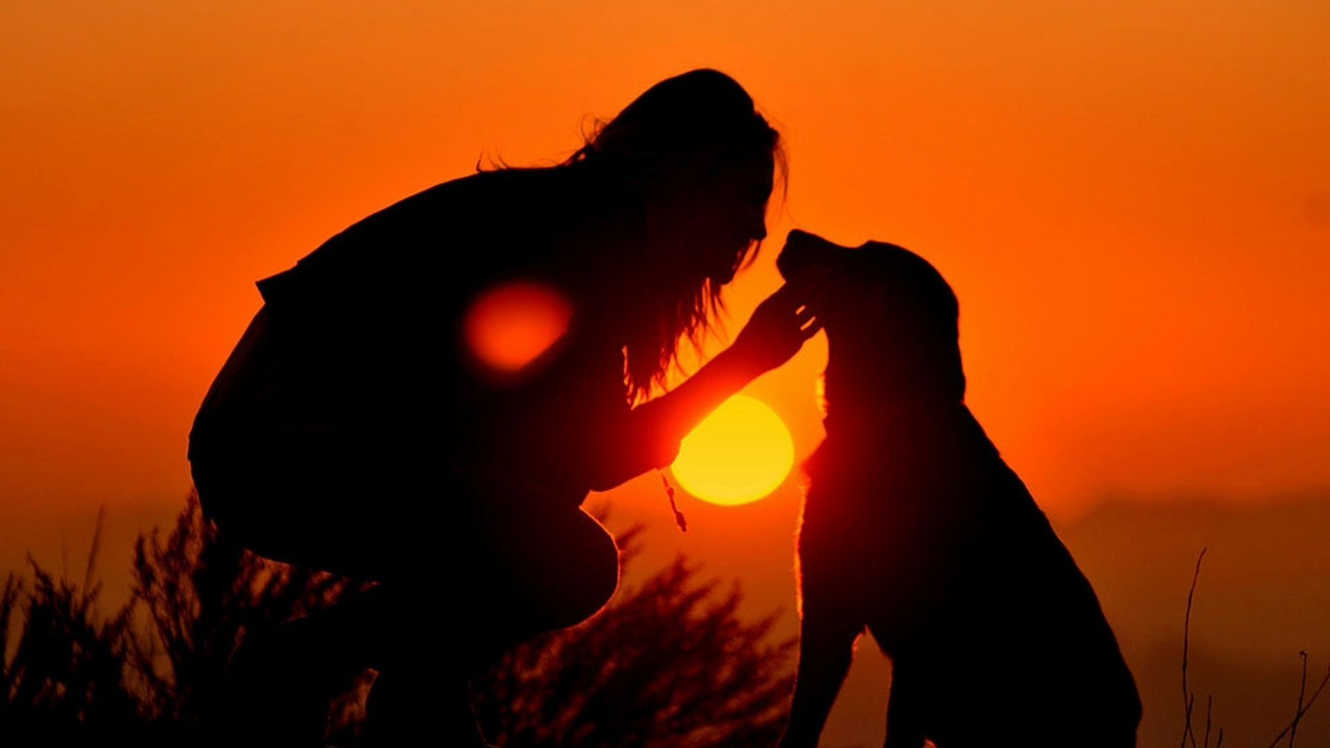 Обои закат, восход солнца, вечер, животное, солнечный свет в разрешении 1920x1080