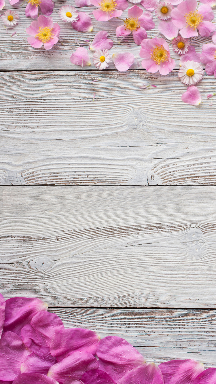 Обои цветок, древесина, розовый, лепесток, сирень в разрешении 750x1334