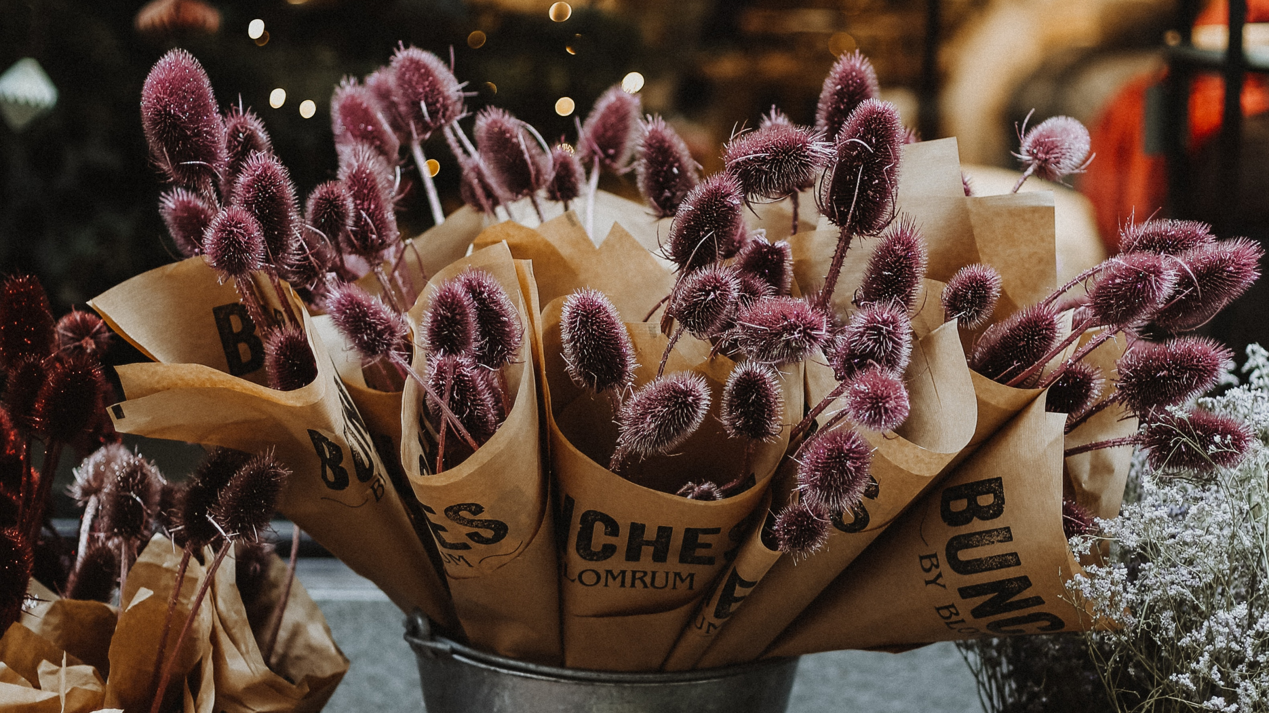 Обои цветочный букет, цветок, растение, цветочный горшок, срезанные цветы в разрешении 2560x1440