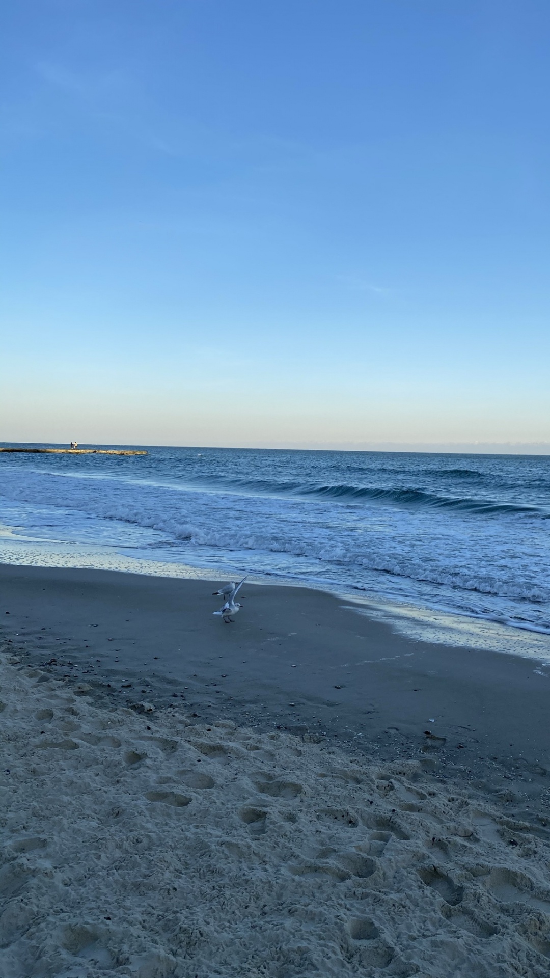 Обои море, дикий у воды, водоем, жидкость, окружающая среда в разрешении 1080x1920