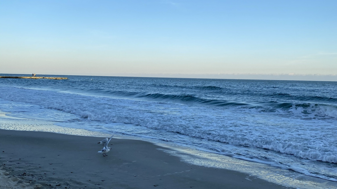 Обои море, дикий у воды, водоем, жидкость, окружающая среда в разрешении 1280x720