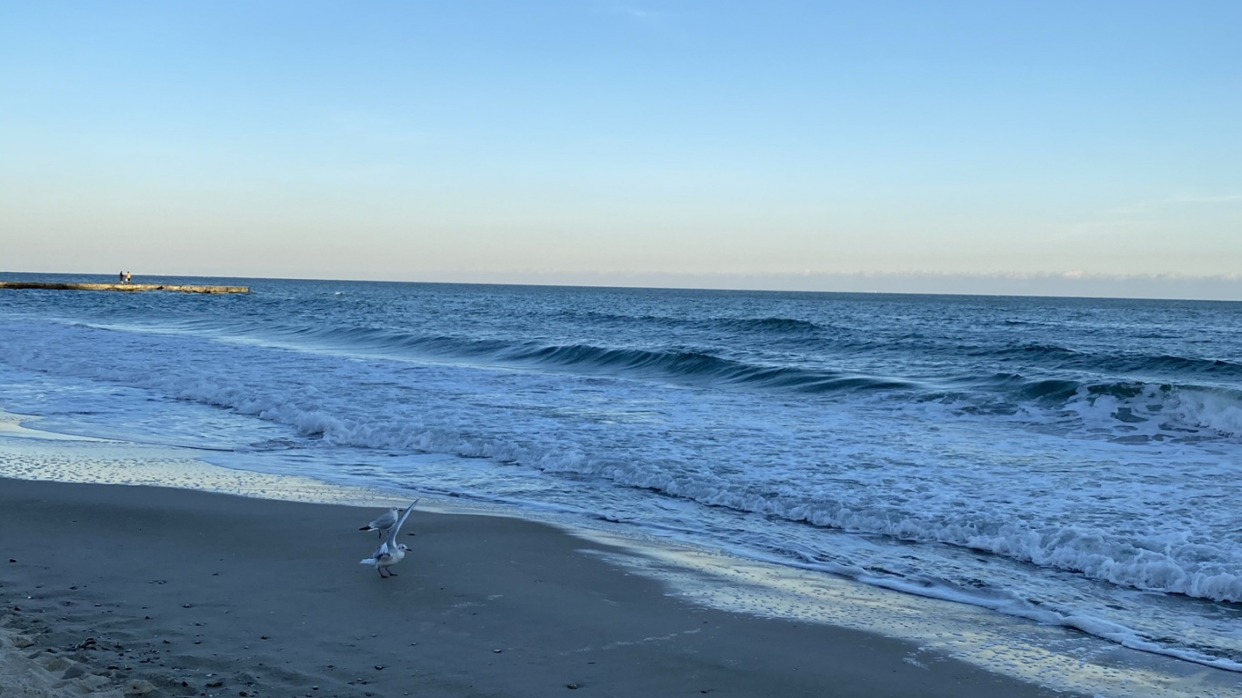 Обои море, дикий у воды, водоем, жидкость, окружающая среда в разрешении 1366x768