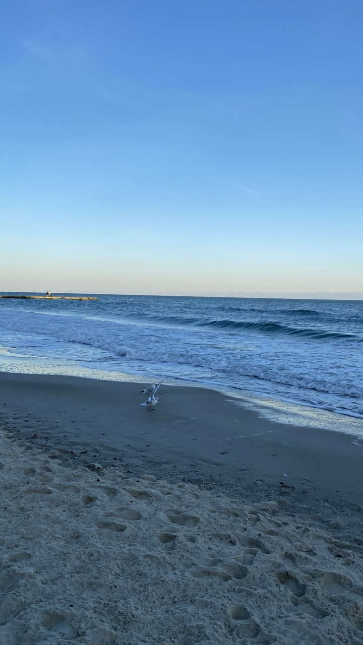 Обои море, дикий у воды, водоем, жидкость, окружающая среда в разрешении 720x1280