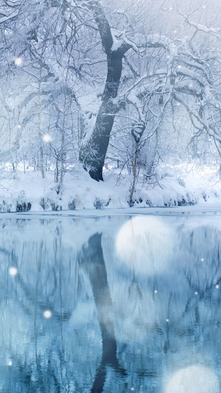 Обои зима, замораживание, снег, мороз, дерево в разрешении 720x1280