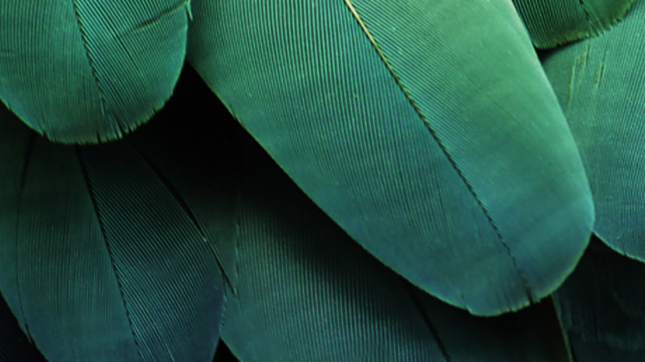 Обои ZTE, ZTE MiFavor, зеленый, синий, синий зеленый в разрешении 1280x720