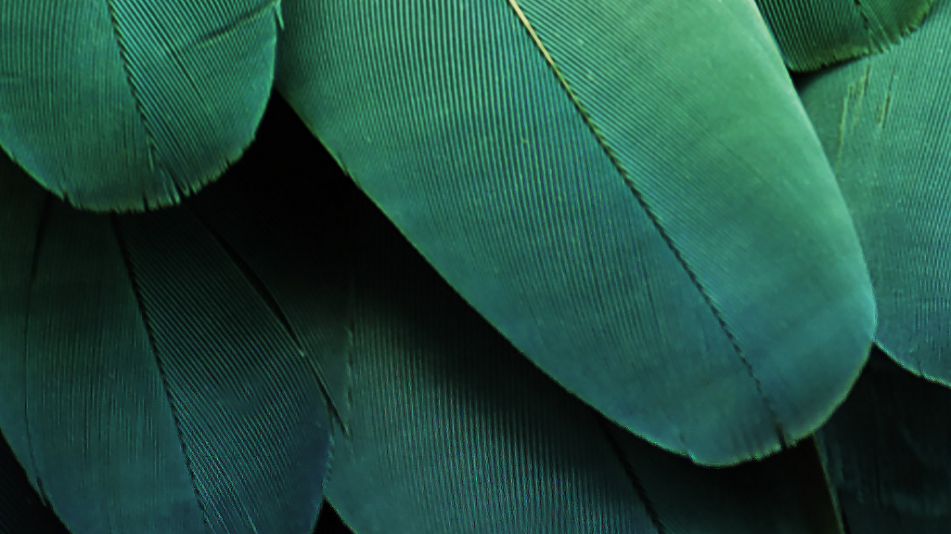 Обои ZTE, ZTE MiFavor, зеленый, синий, синий зеленый в разрешении 1366x768