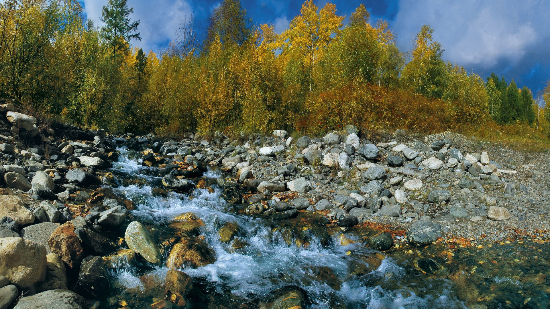 Обои природа, вода, дикая местность, дерево, реки в разрешении 1920x1080