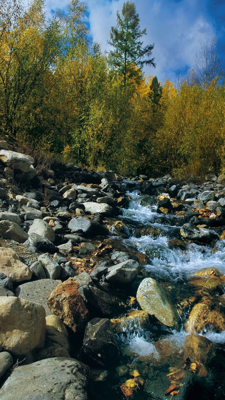 Обои природа, вода, дикая местность, дерево, реки в разрешении 720x1280