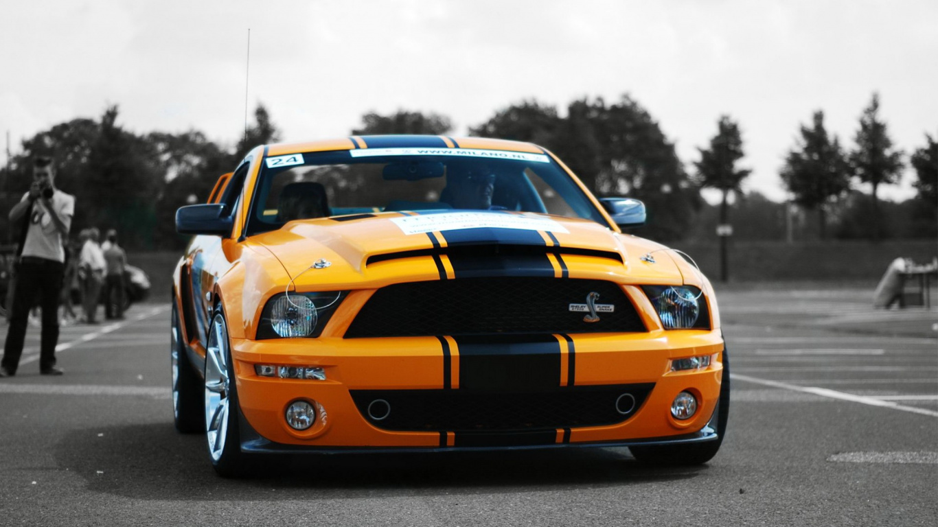 Обои Шелби Мустанг, Форд Мустанг СВТ Кобра, спорткар, авто, ford gt в разрешении 1366x768