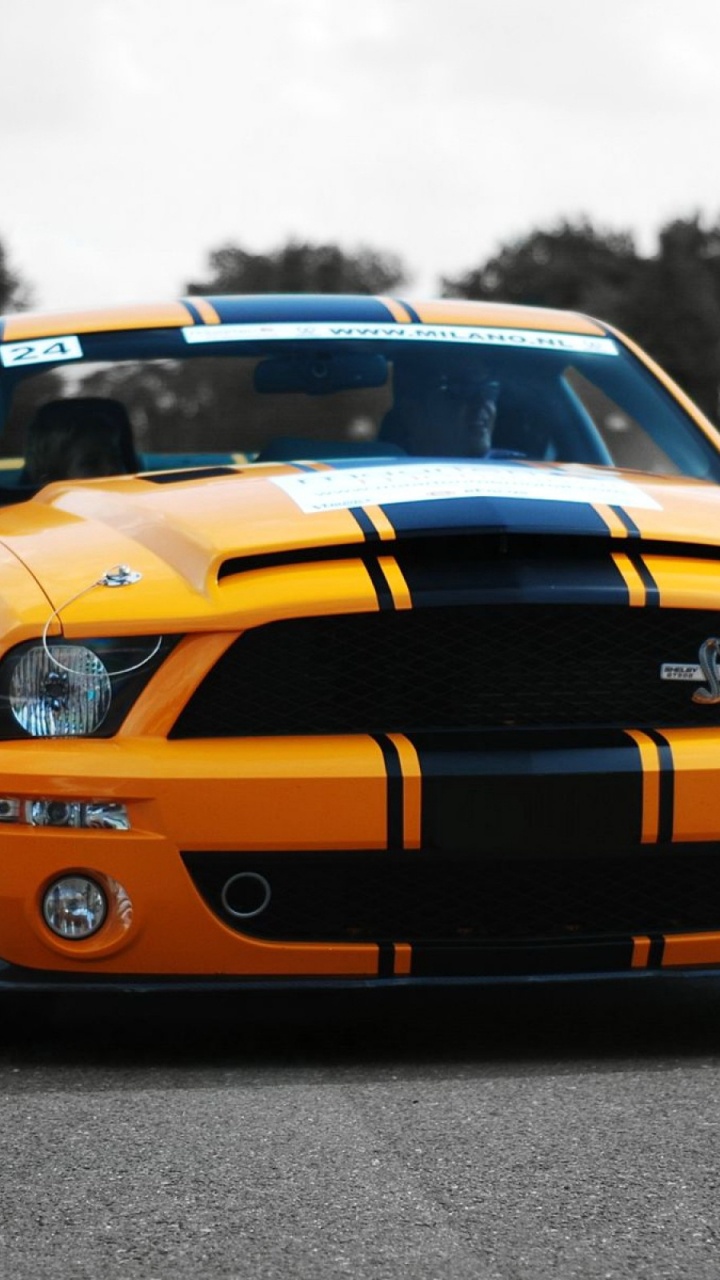 Обои Шелби Мустанг, Форд Мустанг СВТ Кобра, спорткар, авто, ford gt в разрешении 720x1280