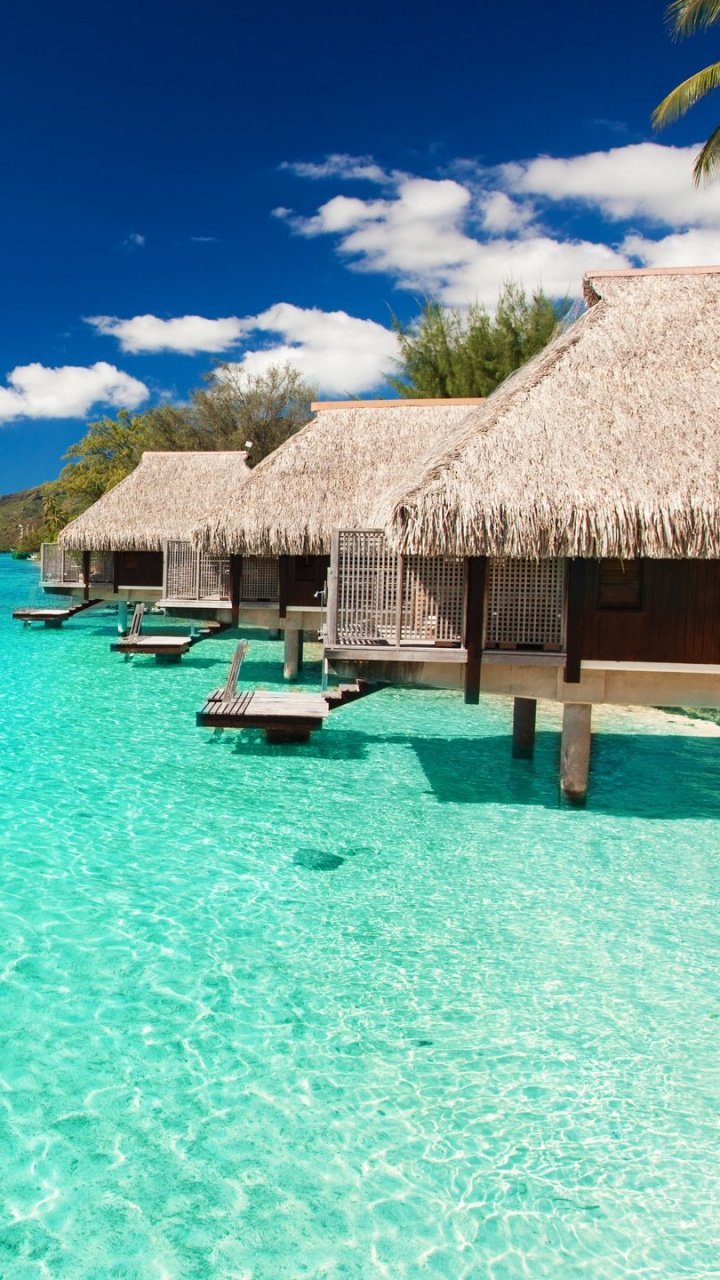 Обои отпуск, тропическая зона, море, Карибский бассейн, океан в разрешении 720x1280