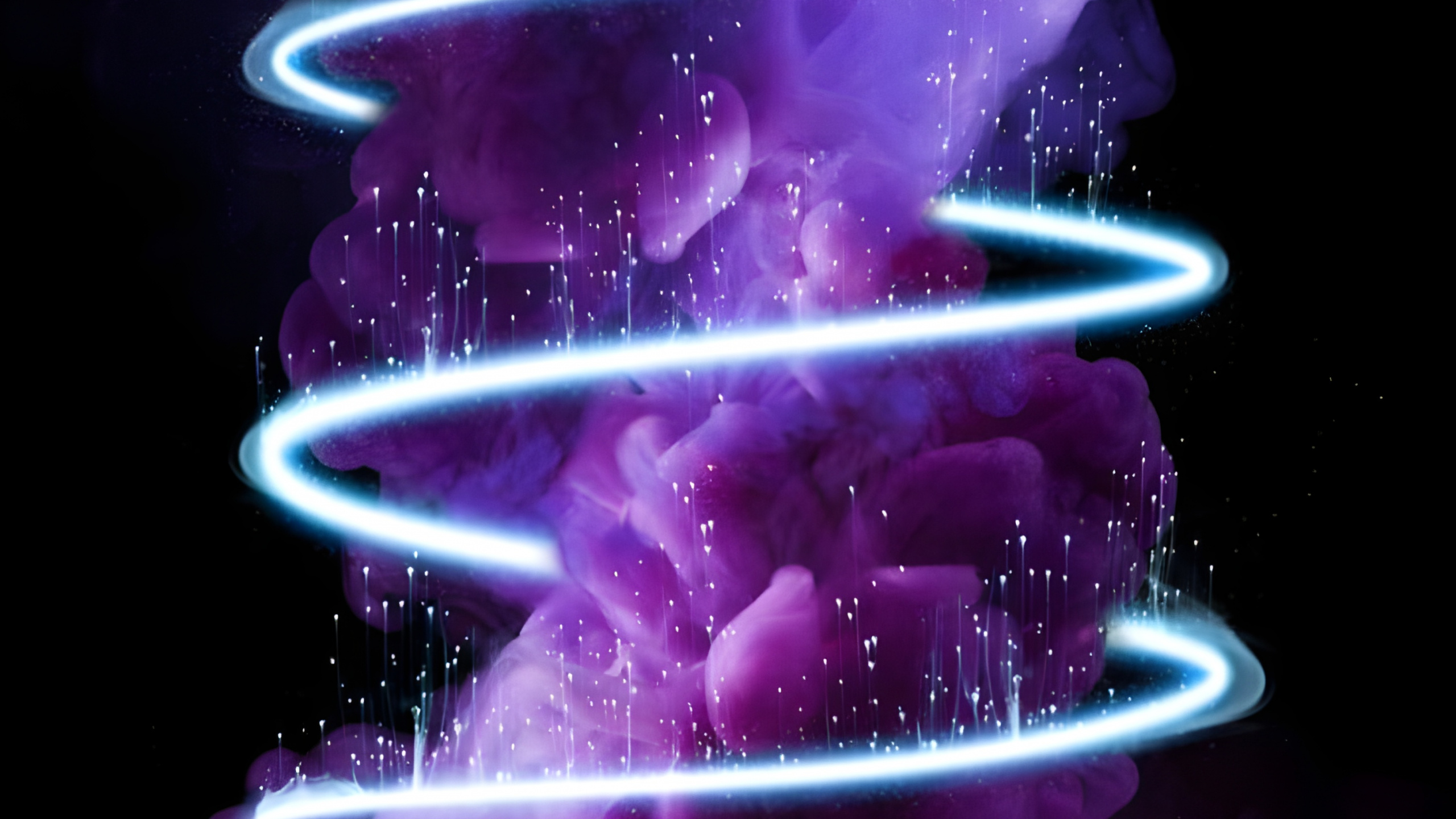 Обои андроид, пурпур, лепесток, свет, синий в разрешении 2560x1440