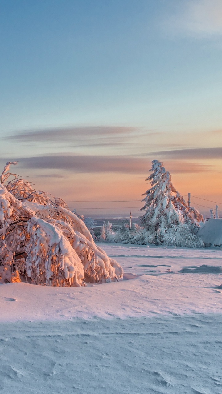 Обои перманент, зима, снег, замораживание, лед в разрешении 720x1280