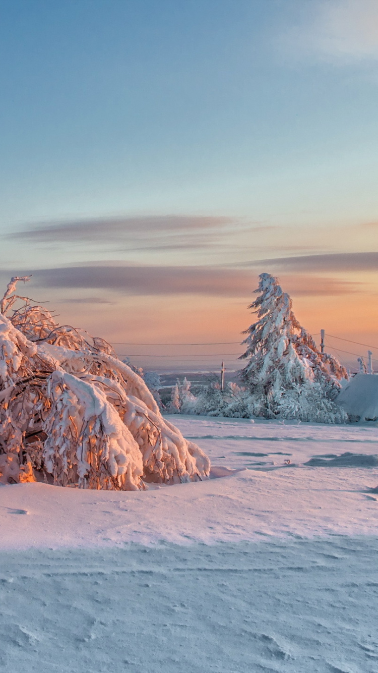 Обои перманент, зима, снег, замораживание, лед в разрешении 750x1334