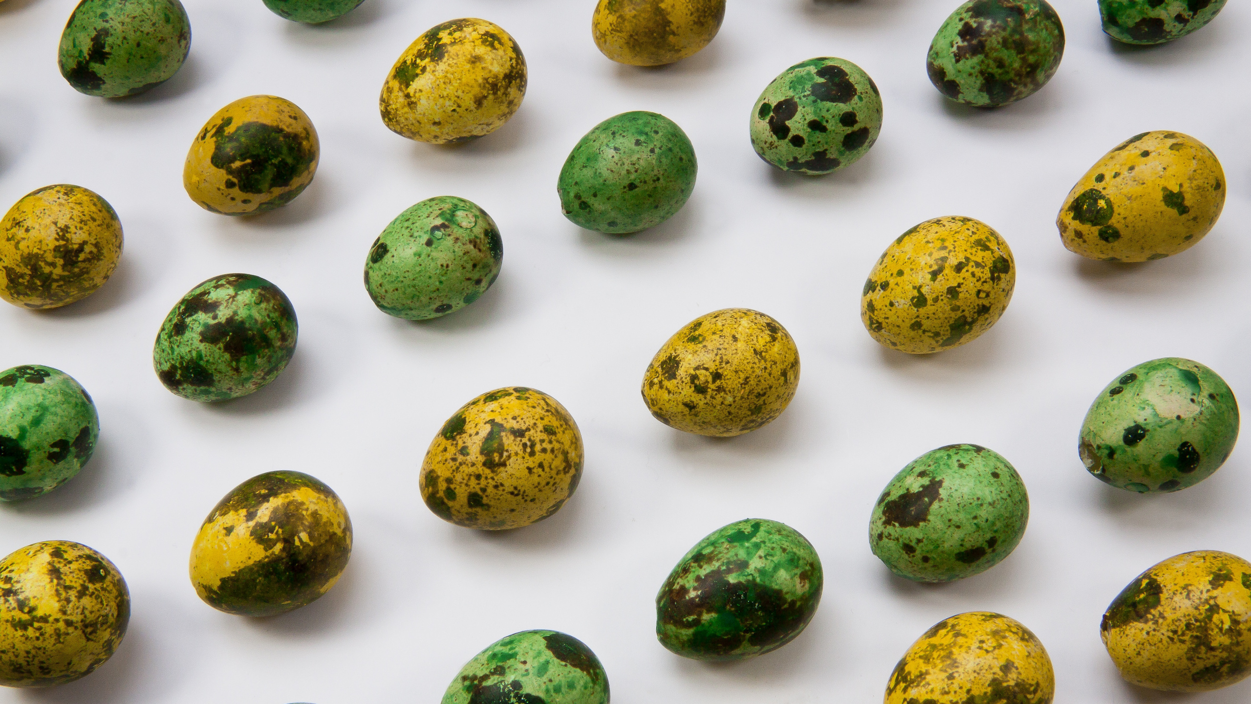 Обои пища, растение, вегетарианская пища, рок, яйцо в разрешении 2560x1440