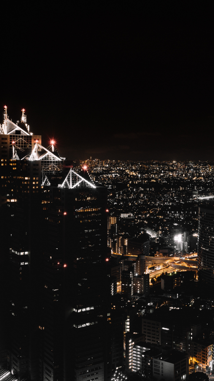 Обои Синдзюку, городской пейзаж, город, ночь, метрополия в разрешении 750x1334