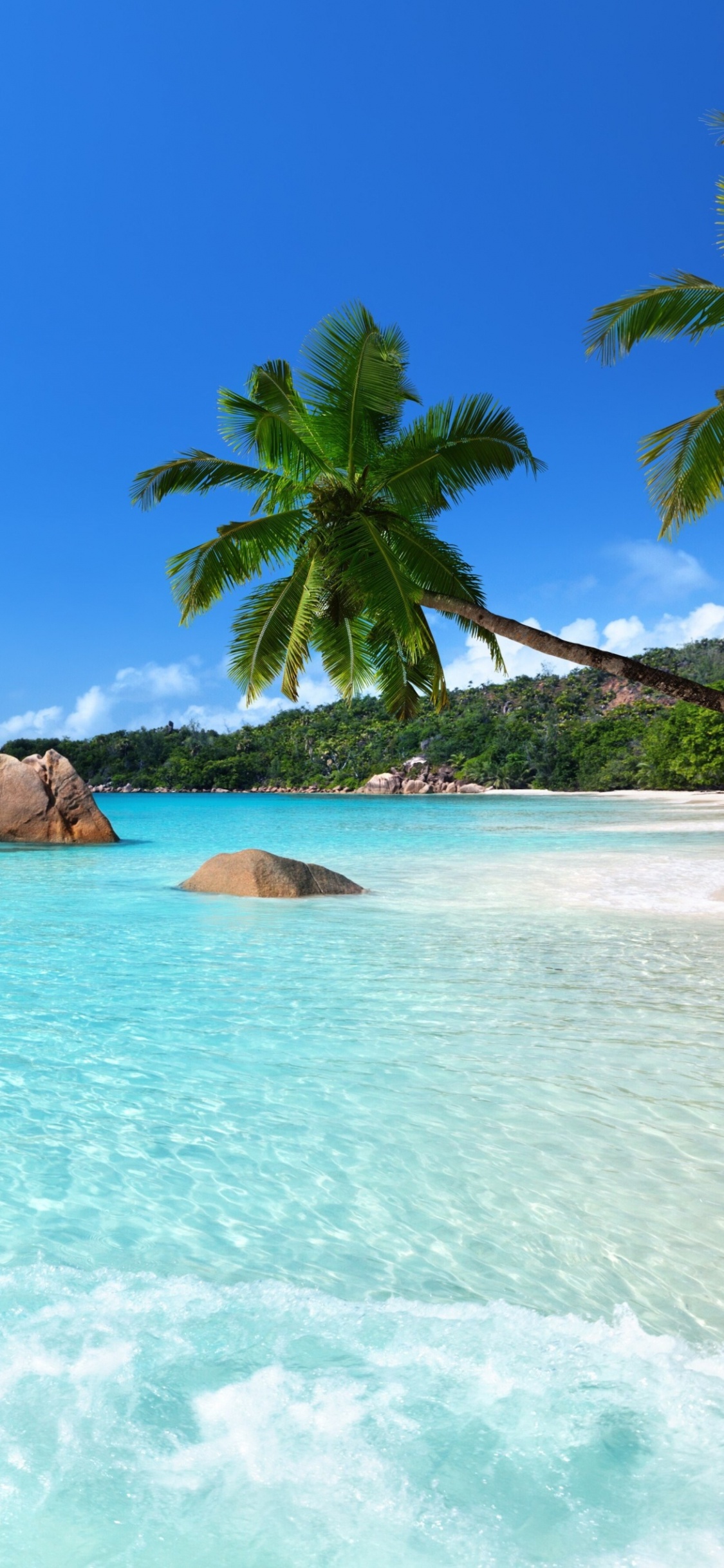 Обои Анс Лацио, пляж, тропическая зона, море, Карибский бассейн в разрешении 1125x2436