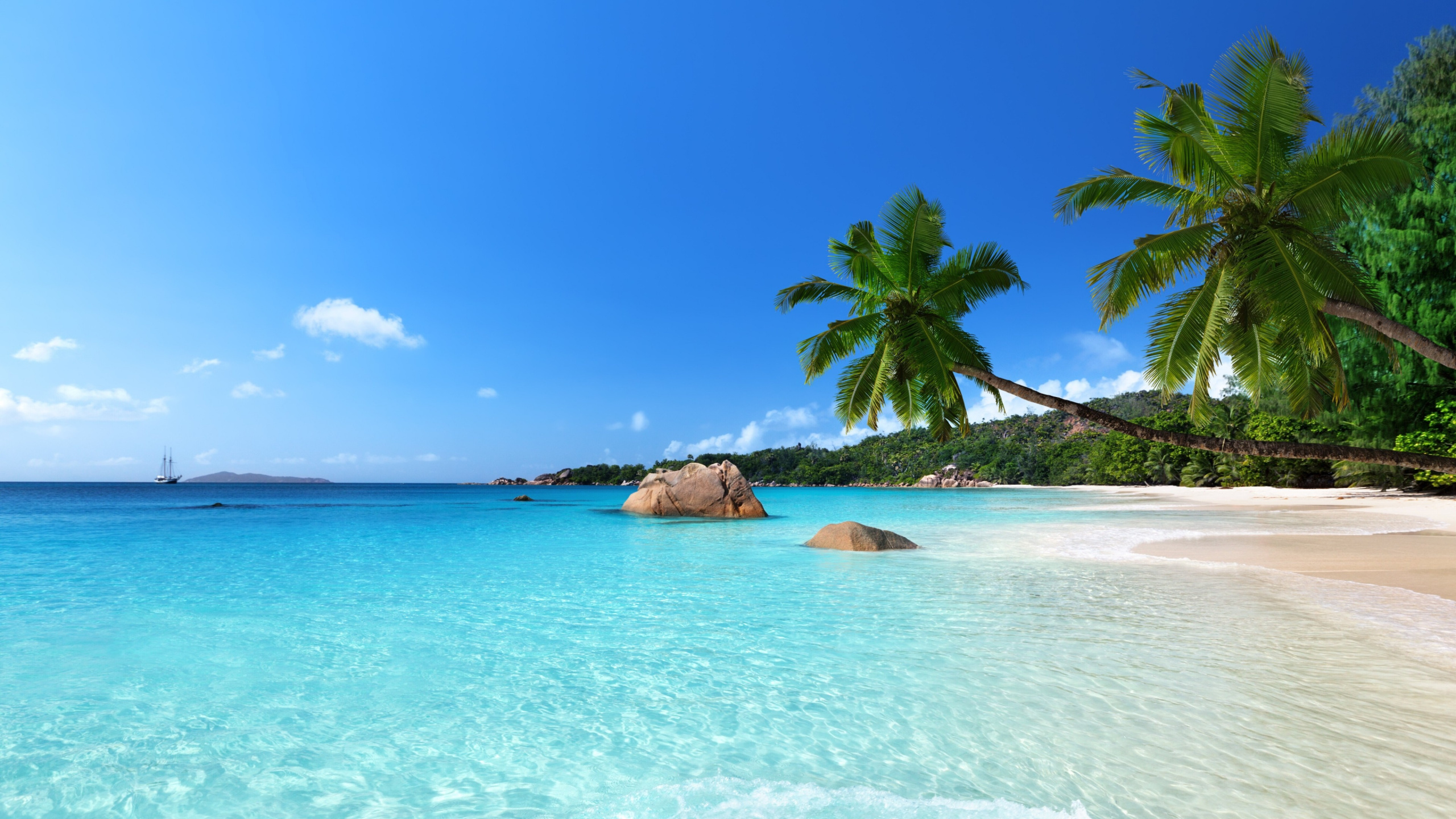 Обои Анс Лацио, пляж, тропическая зона, море, Карибский бассейн в разрешении 2560x1440