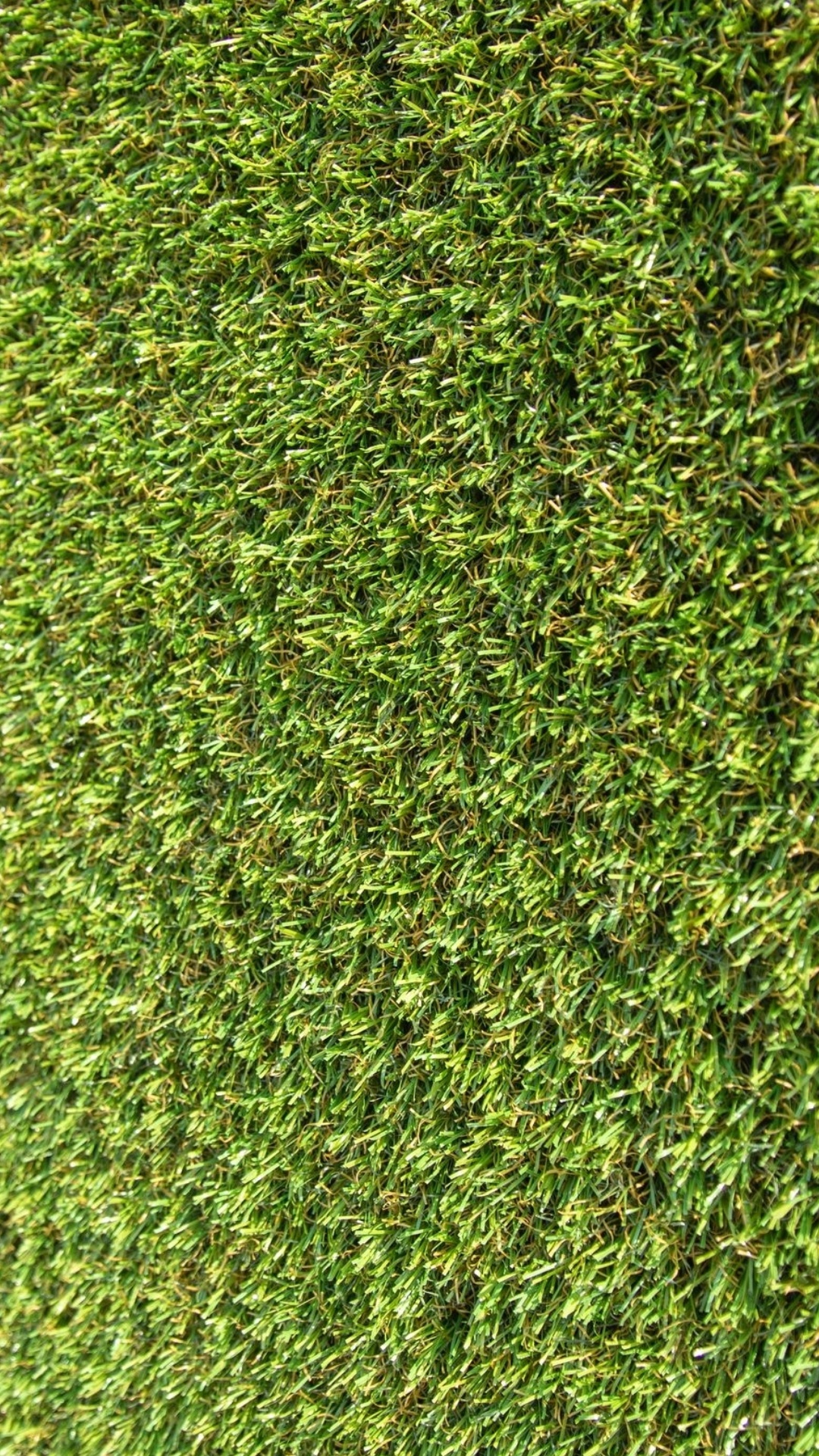 Обои растительность, акриловая краска, растение, наземное растение, почвопокровная в разрешении 1080x1920