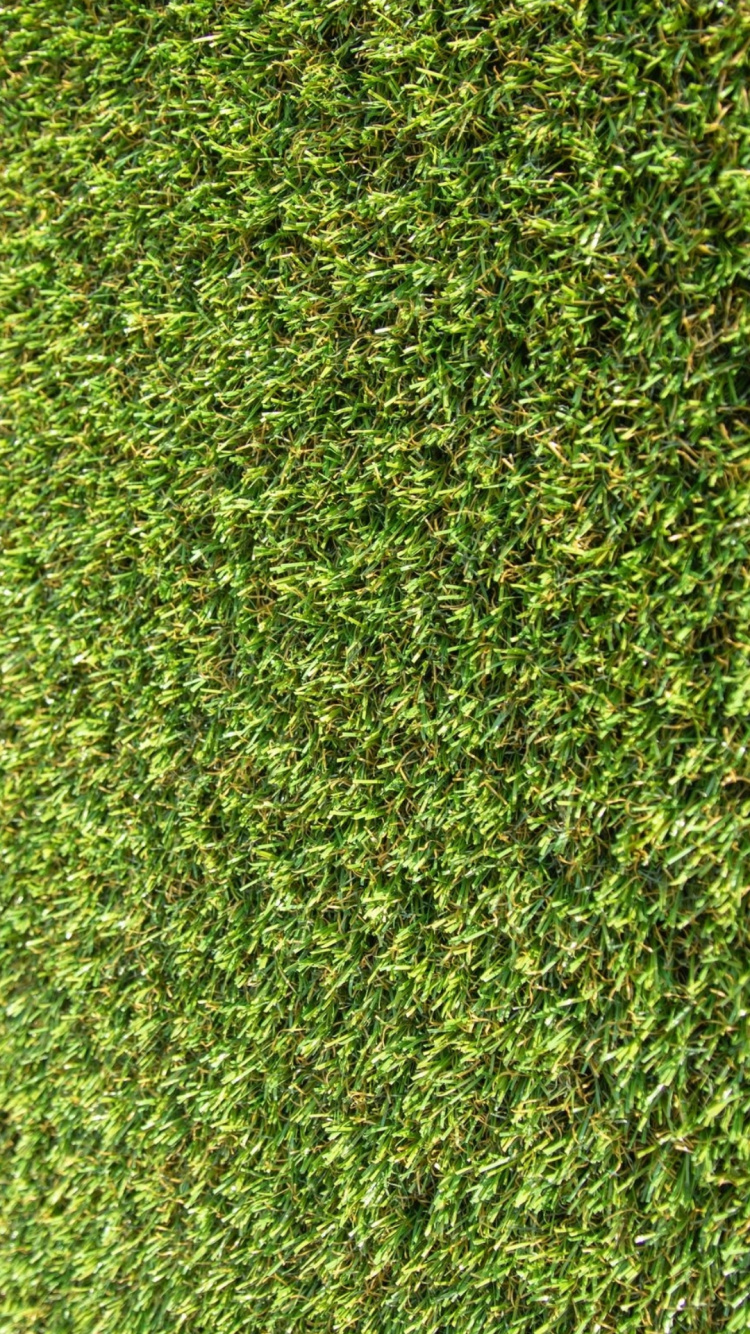 Обои растительность, акриловая краска, растение, наземное растение, почвопокровная в разрешении 750x1334