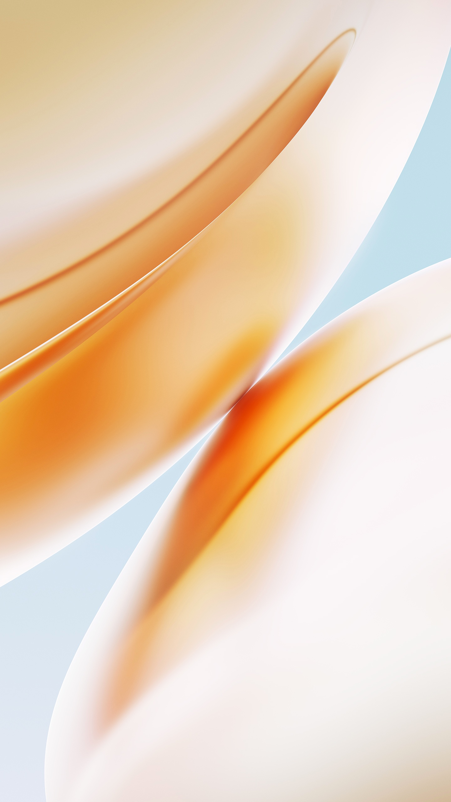 Обои oneplus 8 pro, смартфон, андроид, желтый, Апельсин в разрешении 1440x2560