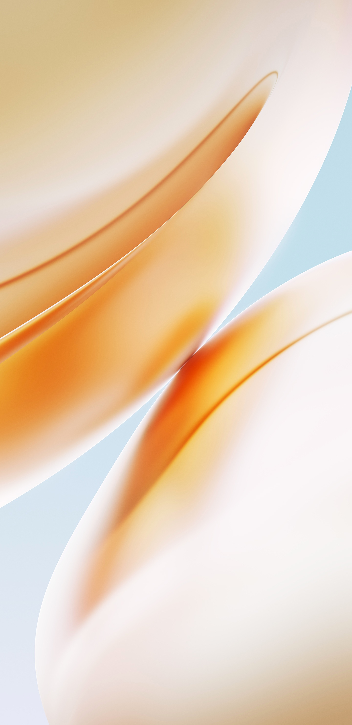 Обои oneplus 8 pro, смартфон, андроид, желтый, Апельсин в разрешении 1440x2960