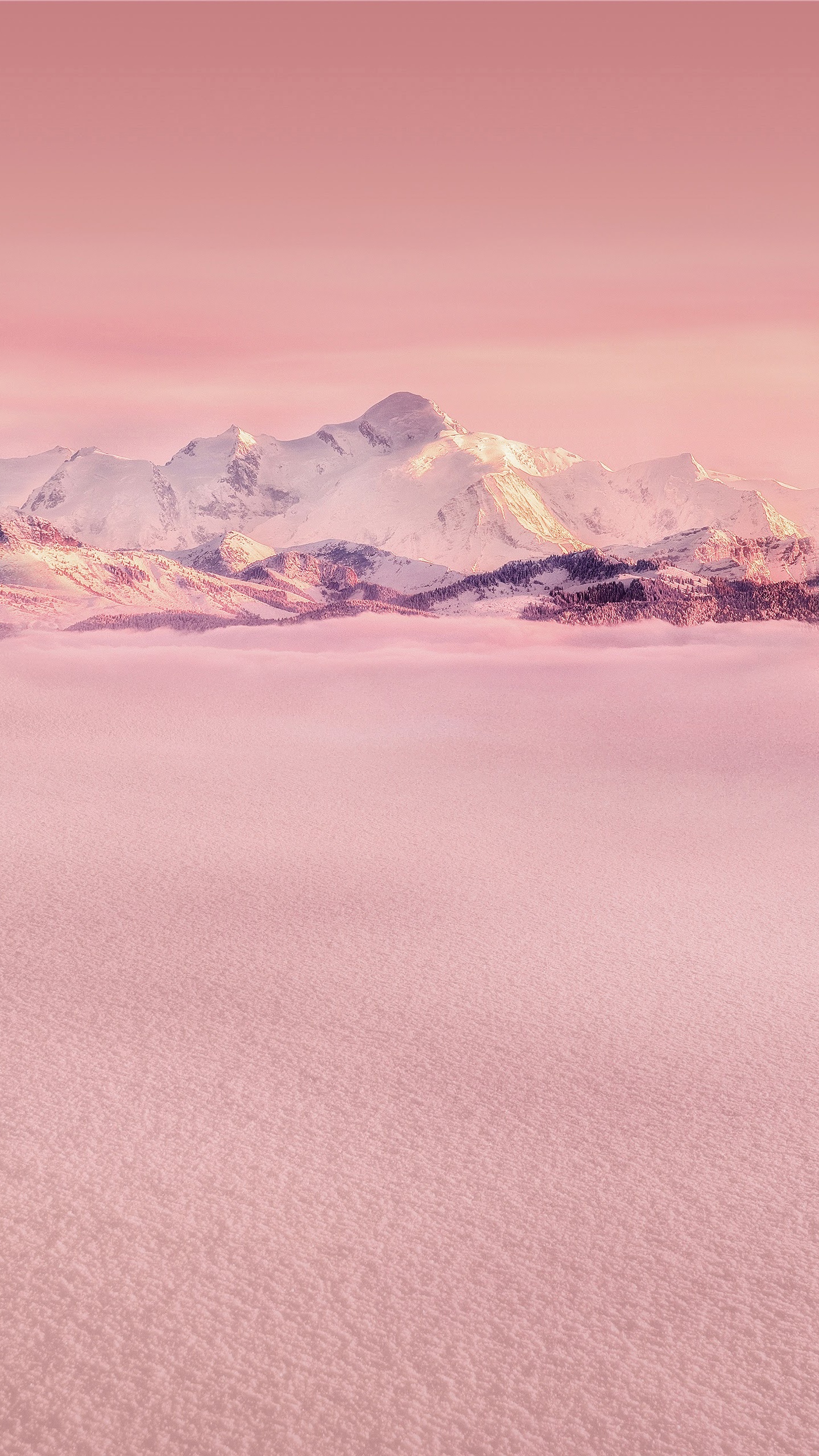 Обои Huawei, Huawei Mate, Huawei Mate 10, Huawei Mate 10 Pro, huawei mate 10 porsche дизайн в разрешении 1440x2560