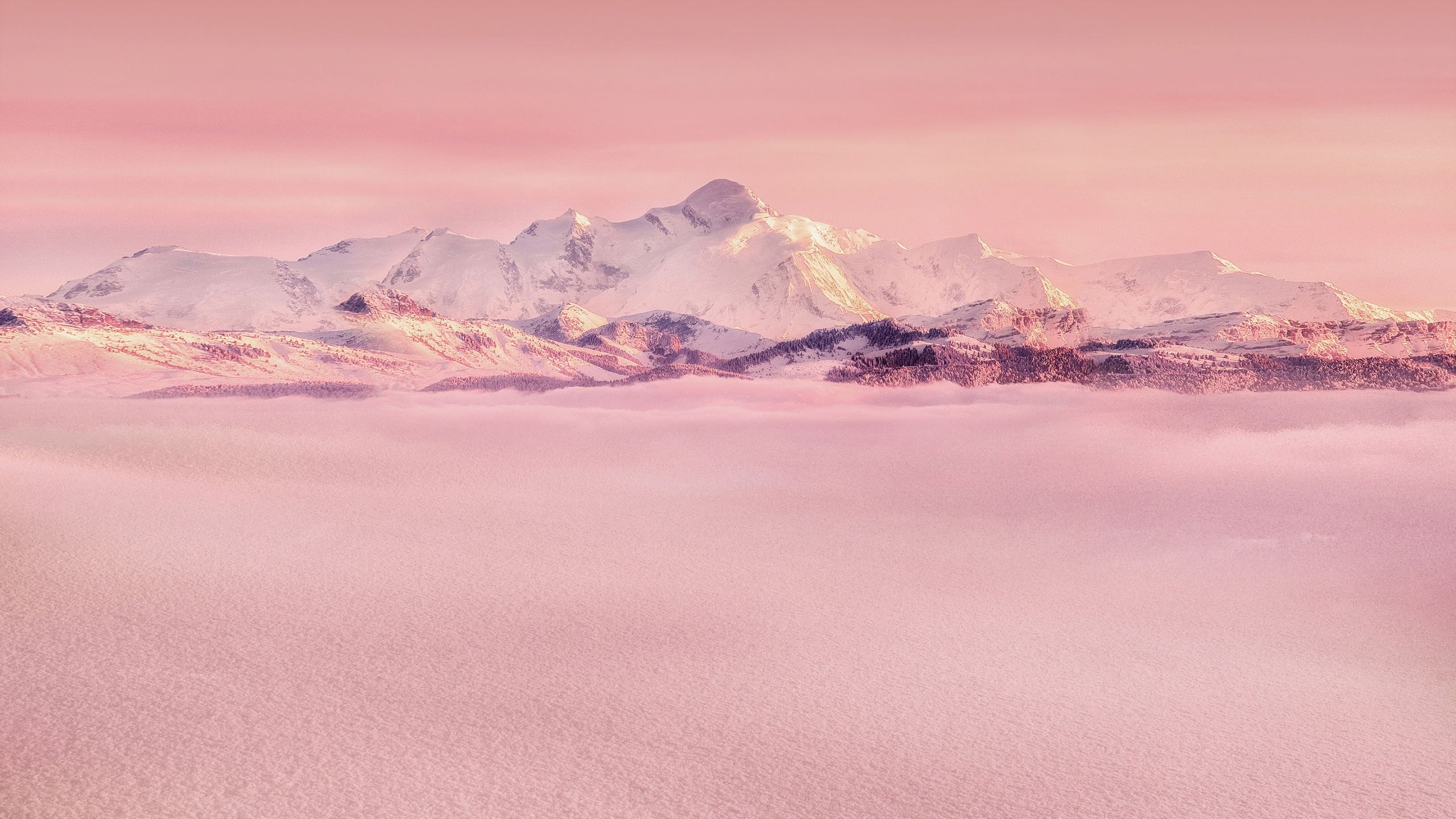 Обои Huawei, Huawei Mate, Huawei Mate 10, Huawei Mate 10 Pro, huawei mate 10 porsche дизайн в разрешении 2560x1440