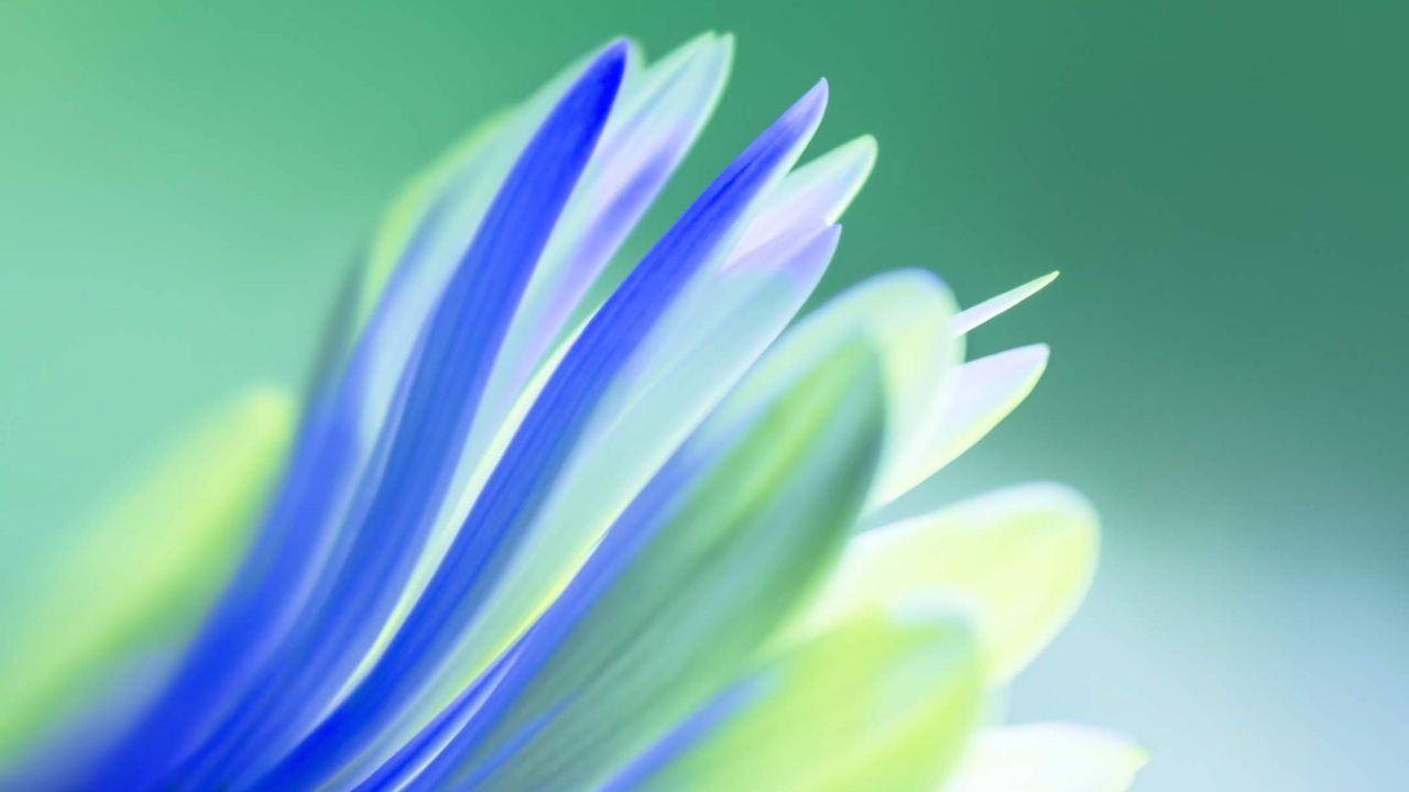 Обои Huawei, Huawei View 20, честь v20, честь вид 10, честь вид20 в разрешении 1280x720