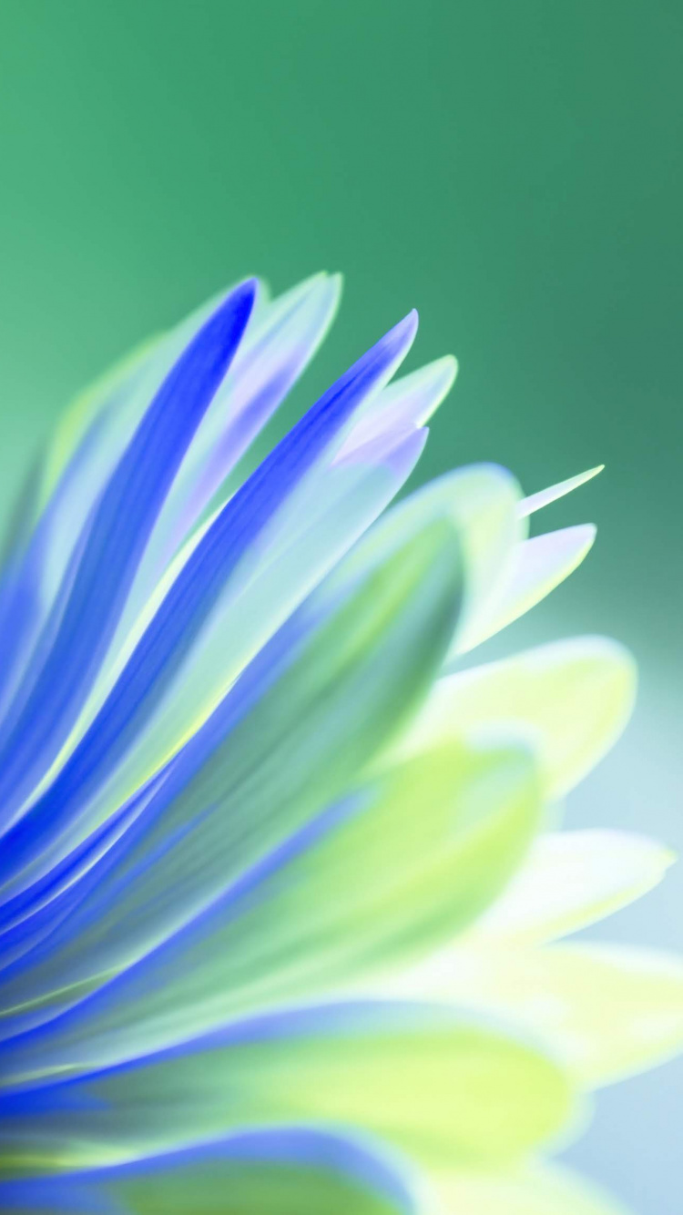 Обои Huawei, Huawei View 20, честь v20, честь вид 10, честь вид20 в разрешении 750x1334