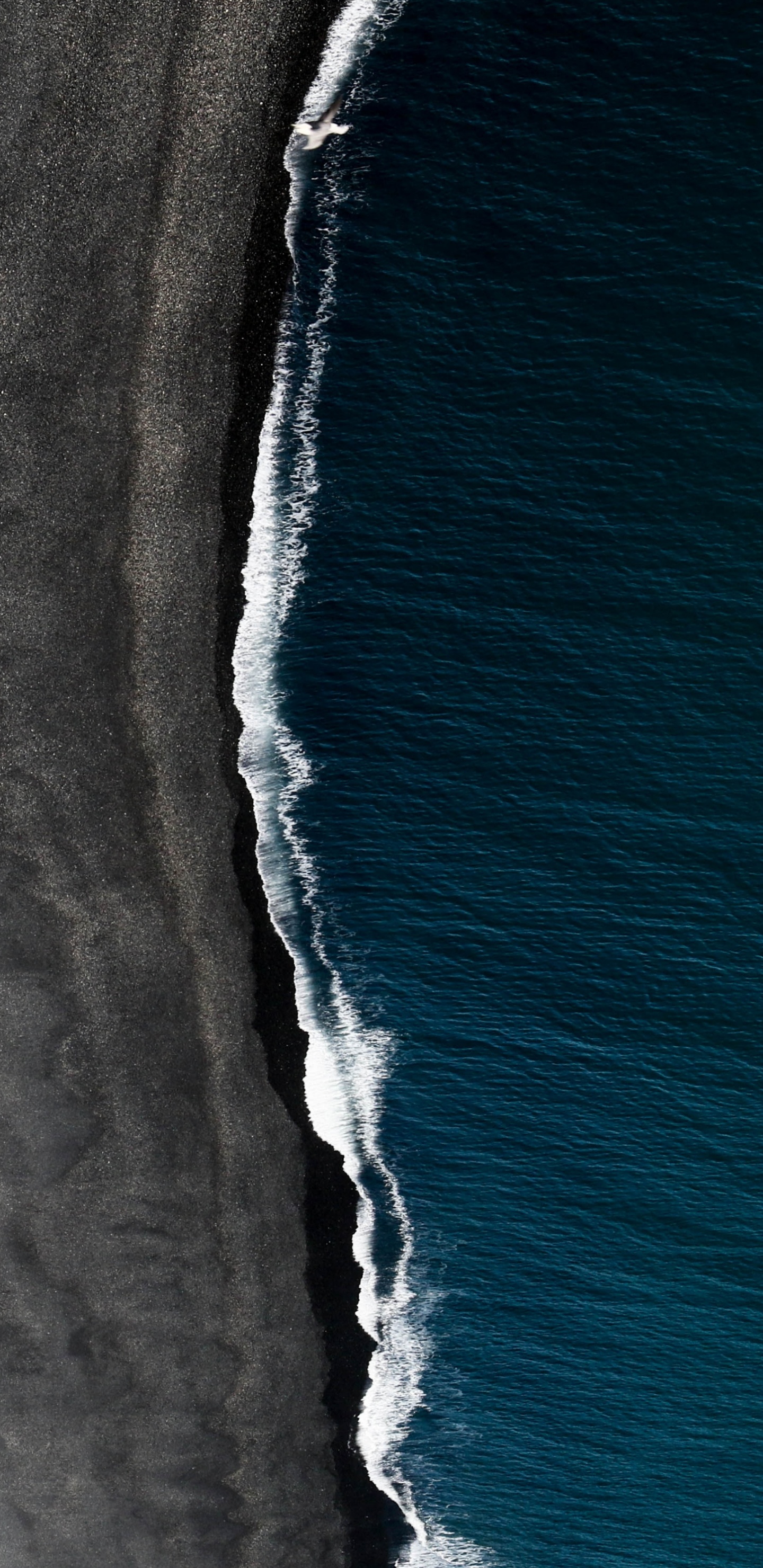 Обои пляж с черным песком вик, черный песок, пляж, песок, природа в разрешении 1440x2960