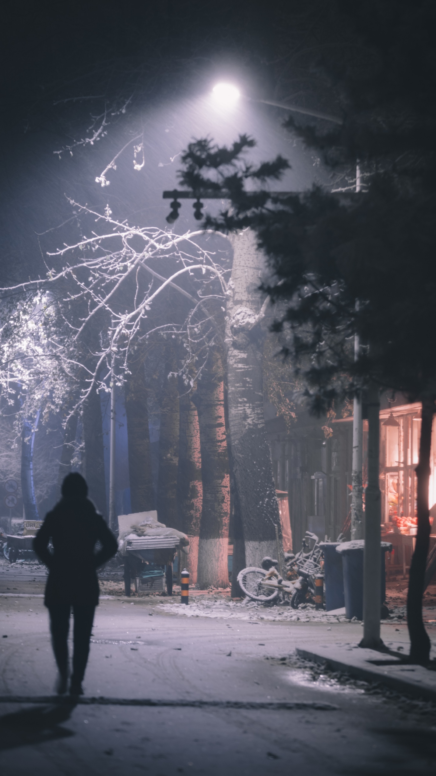 Обои темнота, дерево, ночь, свет, атмосфера в разрешении 1440x2560