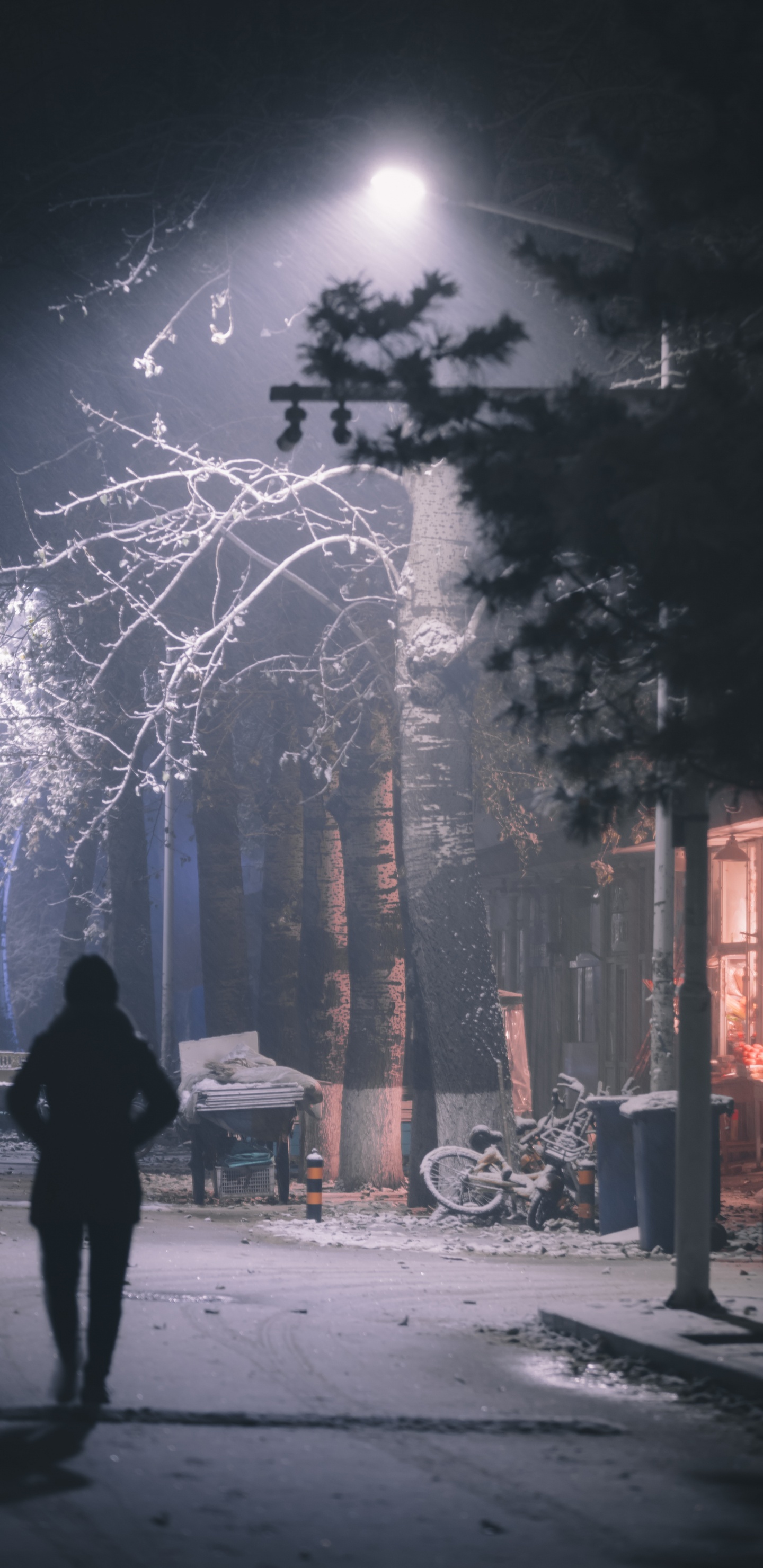 Обои темнота, дерево, ночь, свет, атмосфера в разрешении 1440x2960